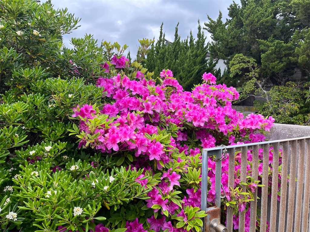 f:id:narutabi:20250501201833j:image f:id:narutabi:20250501201833j:image