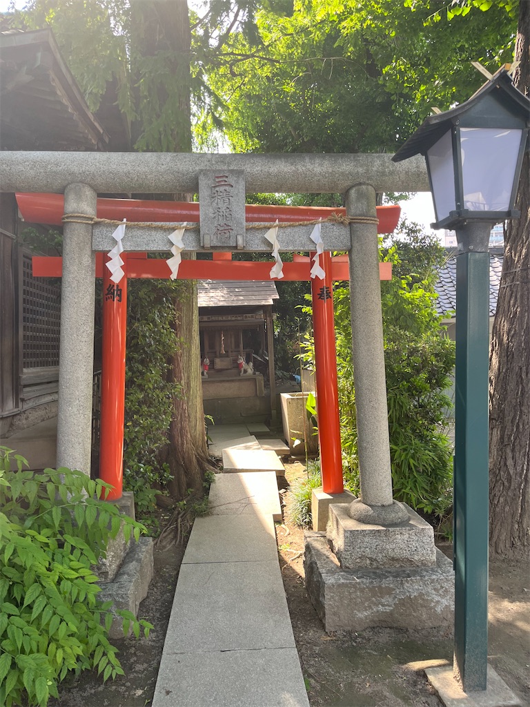 f:id:narutabi:20250520211716j:image