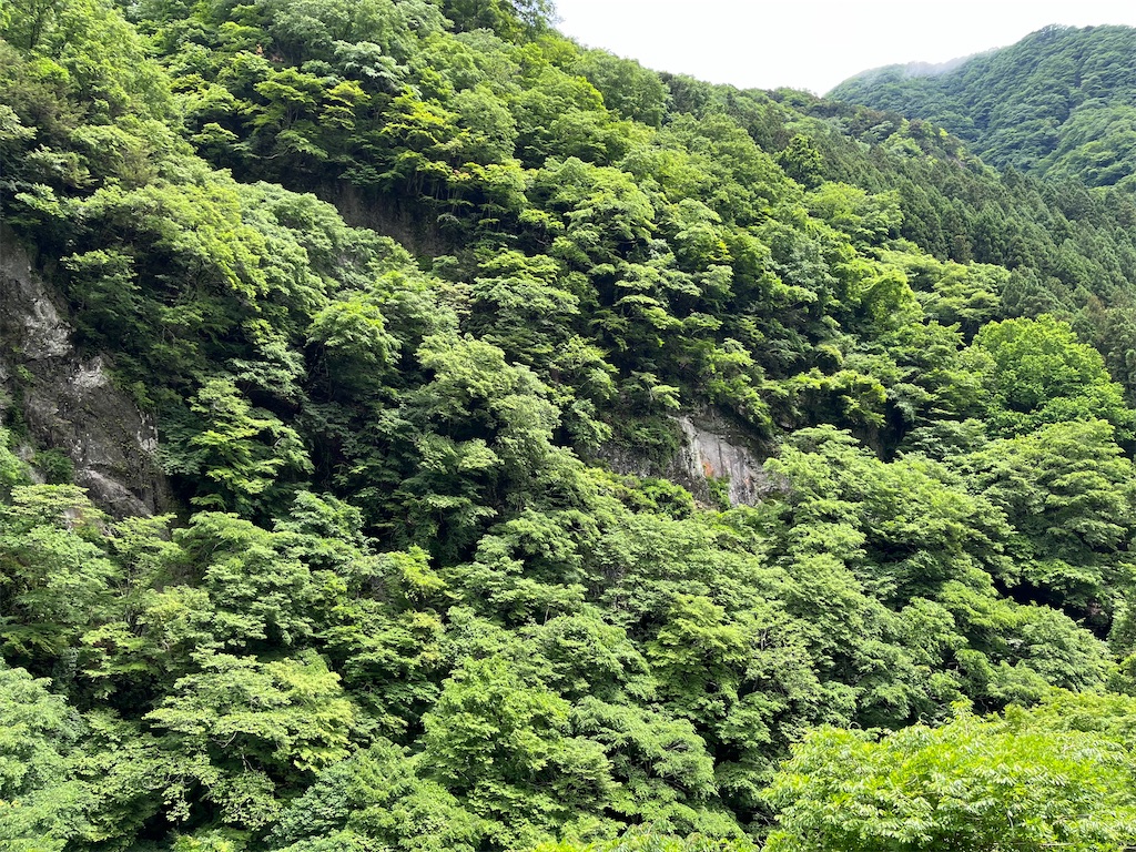 f:id:narutabi:20250527230240j:image