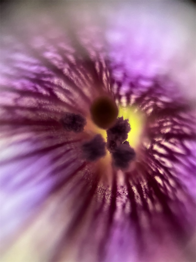 f:id:narutabi:20250528235241j:image