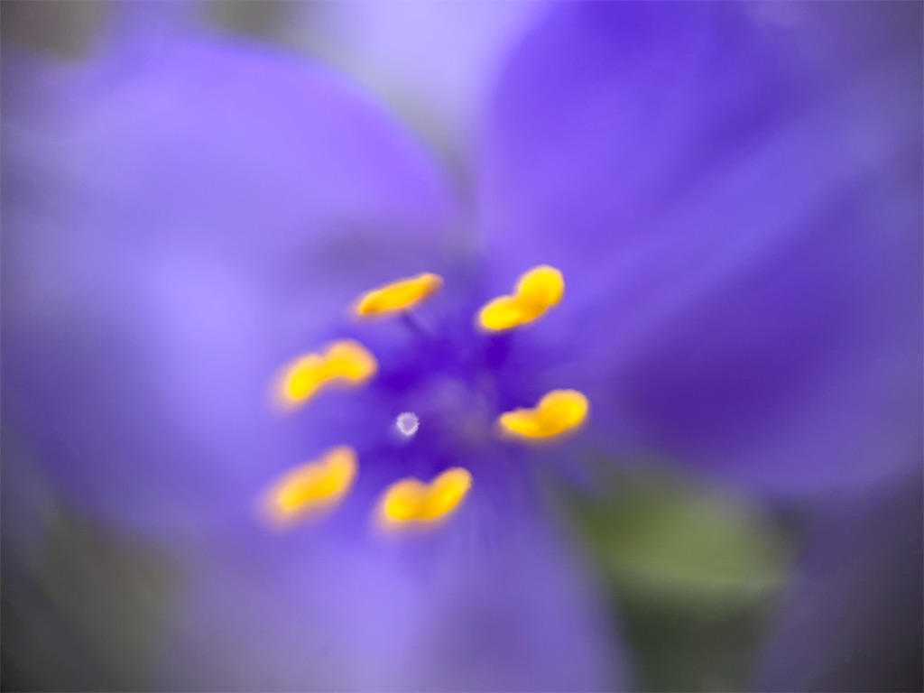 f:id:narutabi:20250528235338j:image