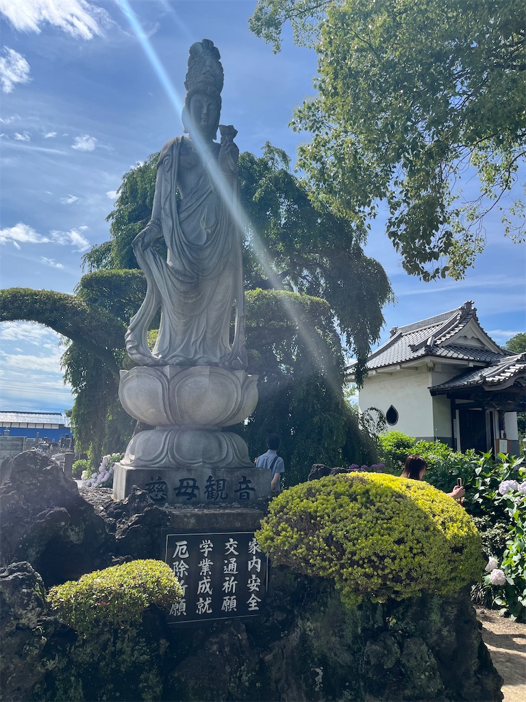 f:id:narutabi:20250617214127j:image