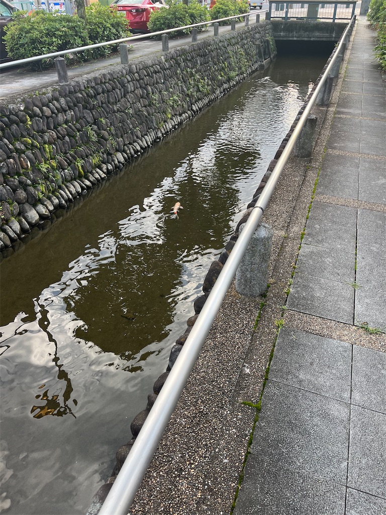f:id:narutabi:20250617214257j:image
