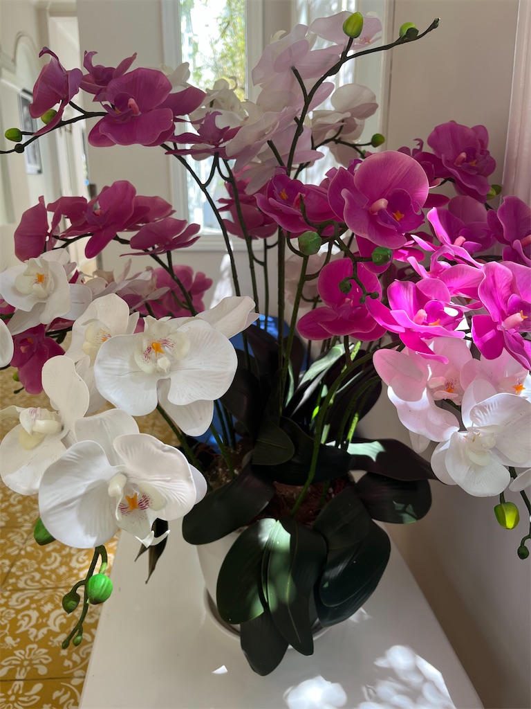 f:id:narutabi:20250702221050j:image