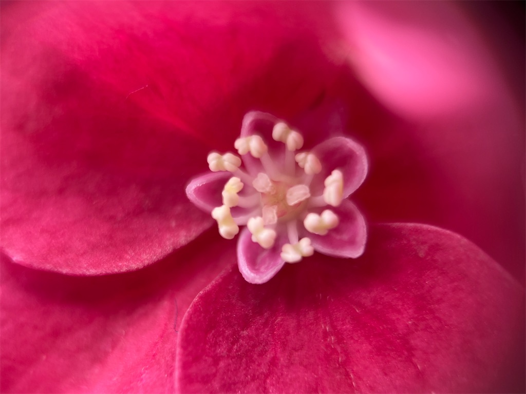 f:id:narutabi:20250803214339j:image