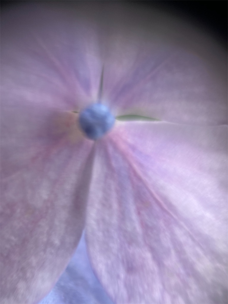 f:id:narutabi:20250803214518j:image