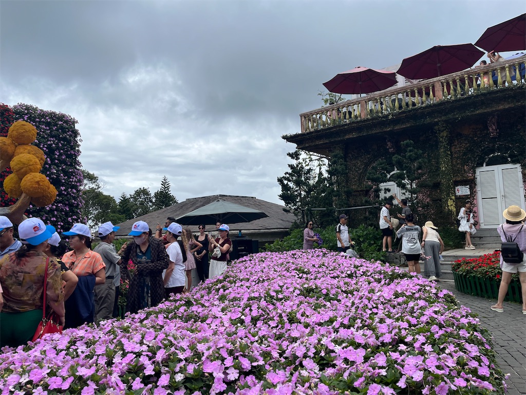 f:id:narutabi:20250803214536j:image