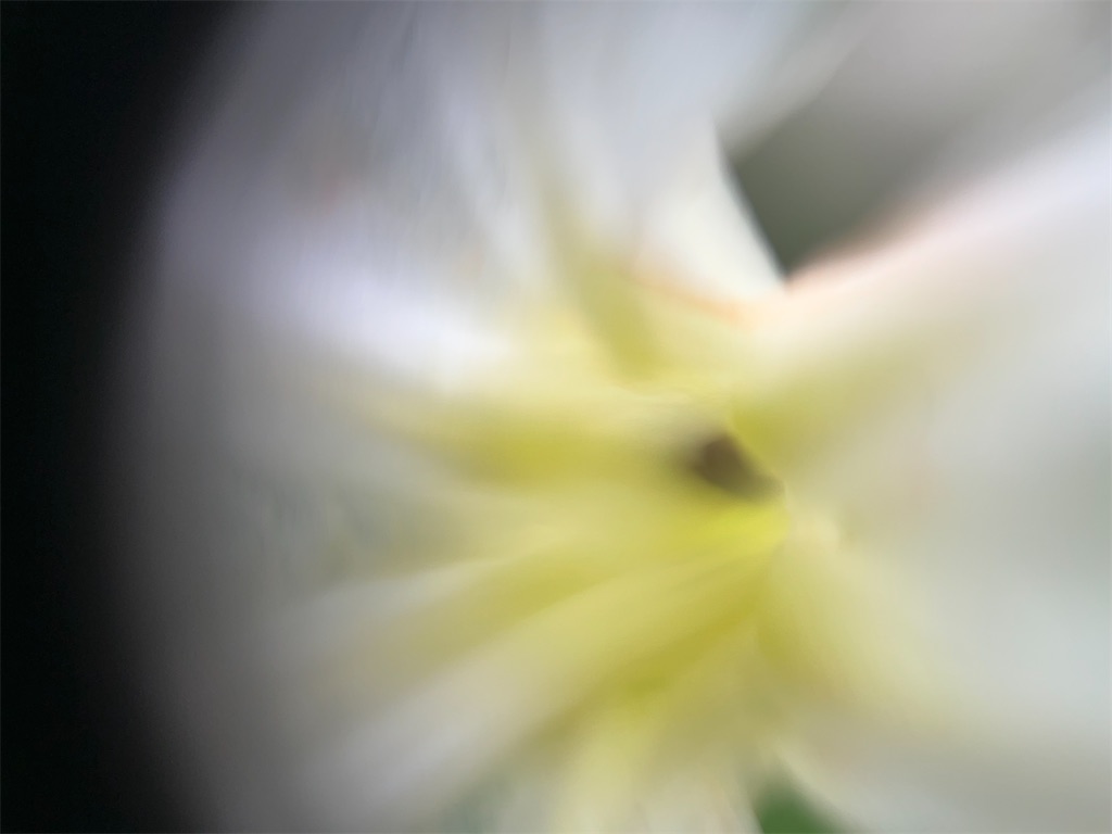 f:id:narutabi:20250803220352j:image