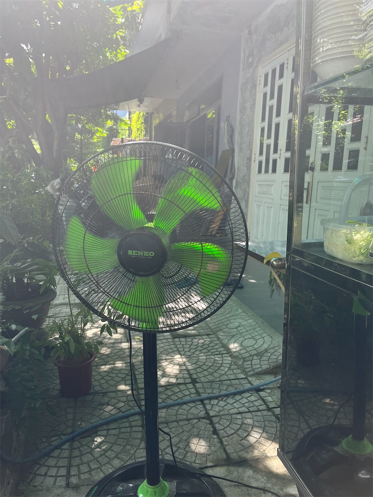 f:id:narutabi:20250806144510j:image