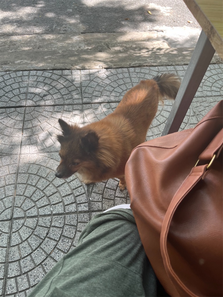 f:id:narutabi:20250806144518j:image
