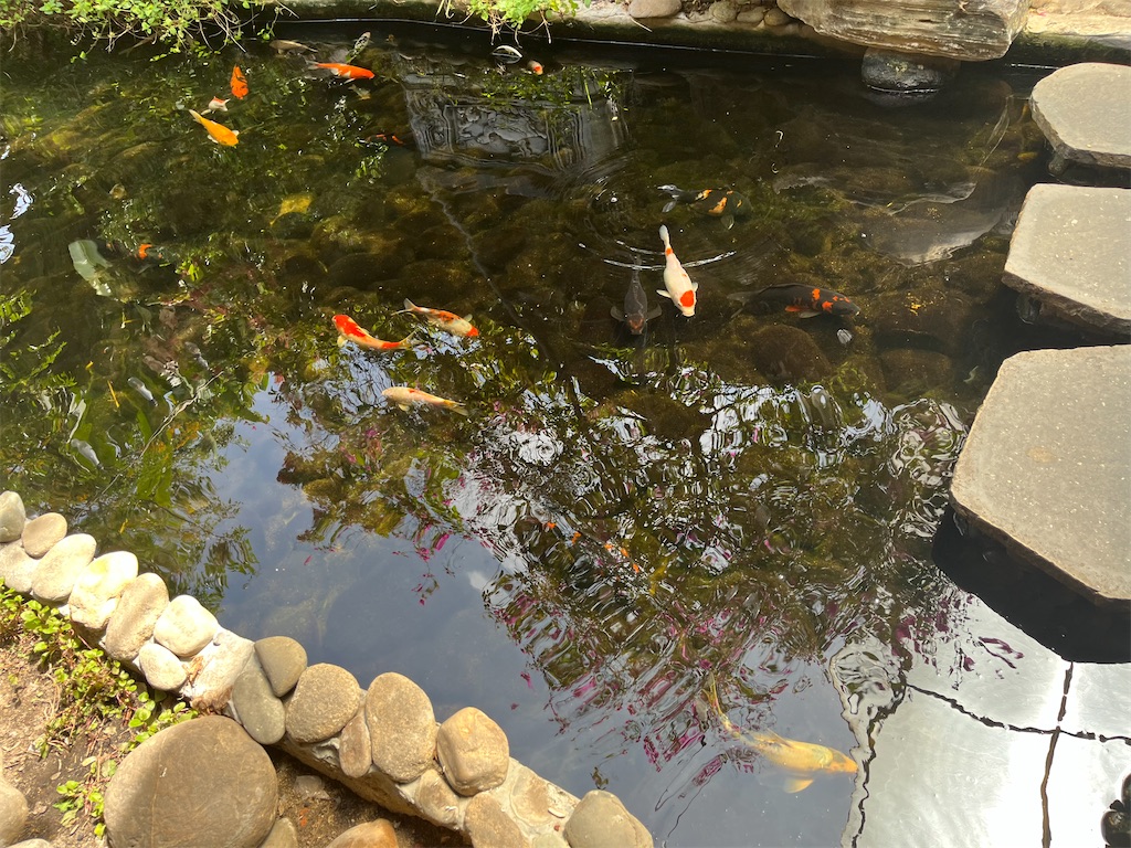 f:id:narutabi:20250806201439j:image f:id:narutabi:20250806201439j:image