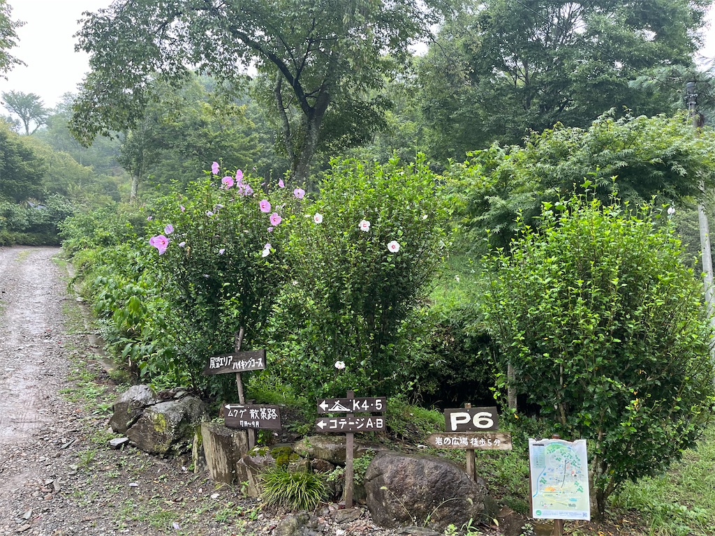 f:id:narutabi:20250813182758j:image