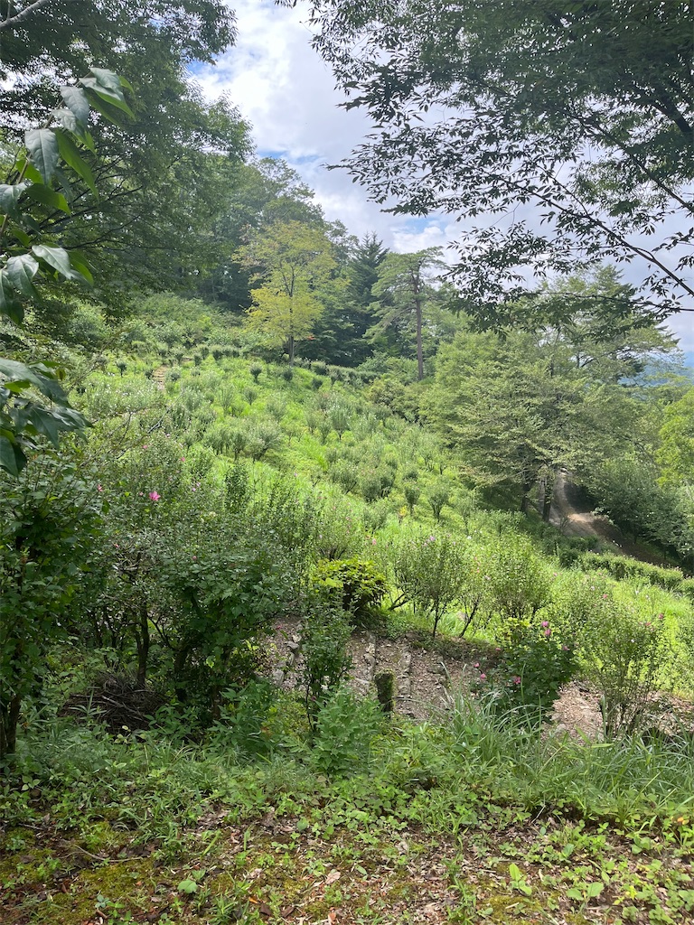 f:id:narutabi:20250815071646j:image f:id:narutabi:20250815071646j:image