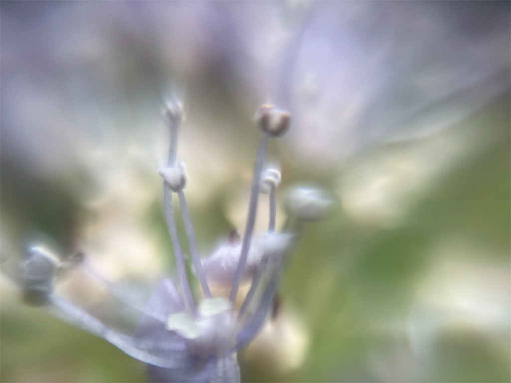 f:id:narutabi:20250815071927j:image f:id:narutabi:20250815071927j:image