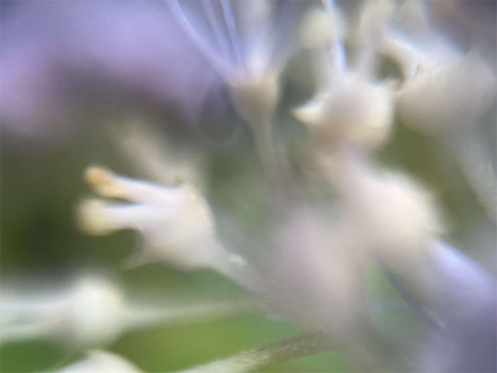f:id:narutabi:20250815071936j:image f:id:narutabi:20250815071936j:image