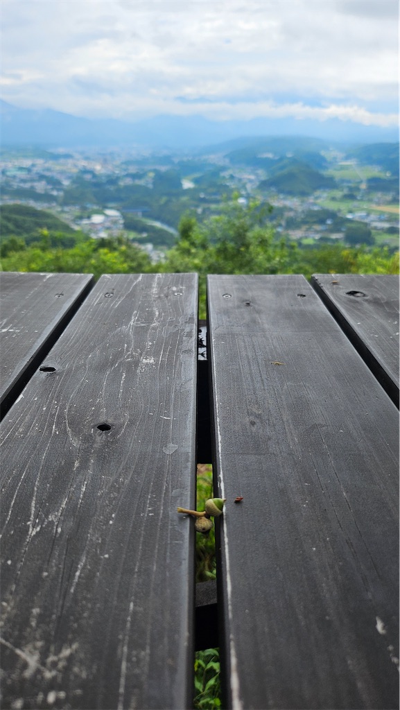 f:id:narutabi:20250815072128j:image f:id:narutabi:20250815072128j:image