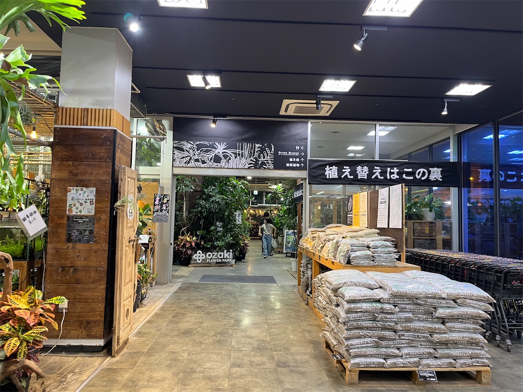 f:id:narutabi:20250908201119j:image