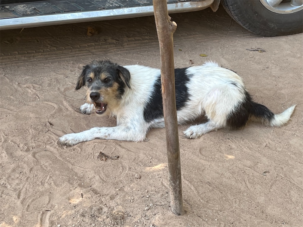 f:id:narutabi:20250912204053j:image f:id:narutabi:20250912204053j:image