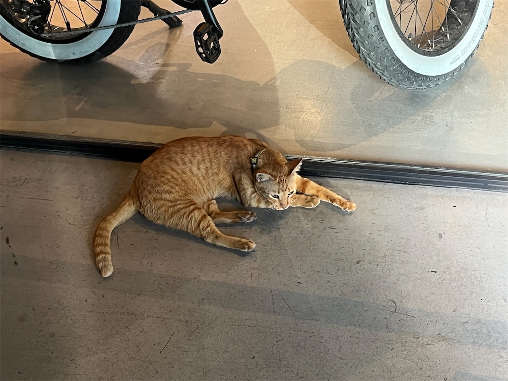 f:id:narutabi:20250912204104j:image f:id:narutabi:20250912204104j:image