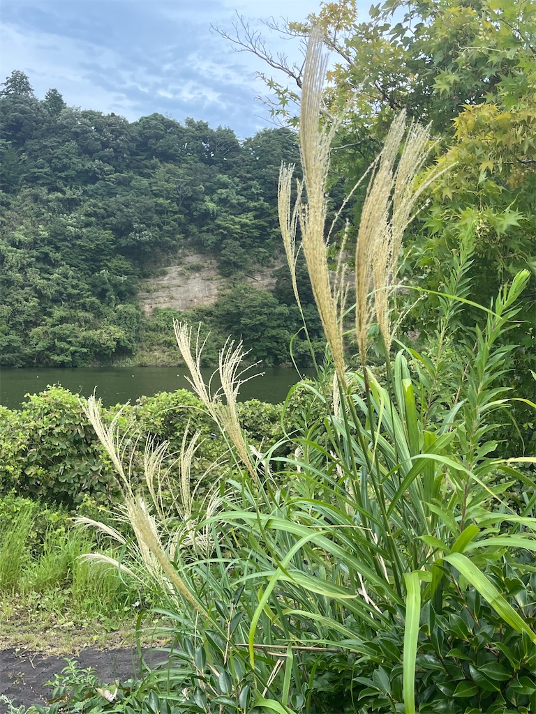 f:id:narutabi:20250917194725j:image