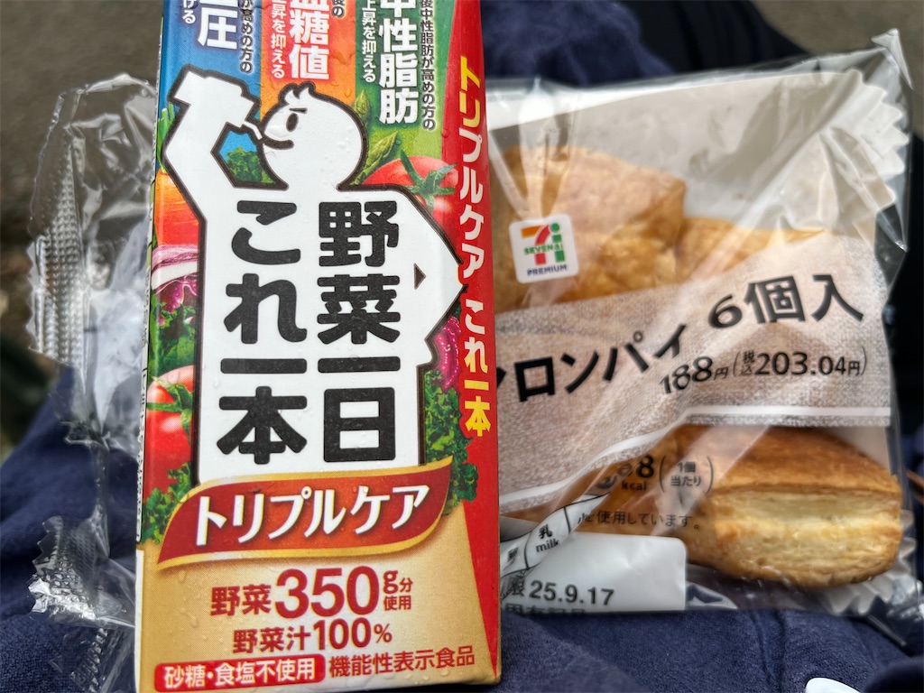 f:id:narutabi:20250919123339j:image