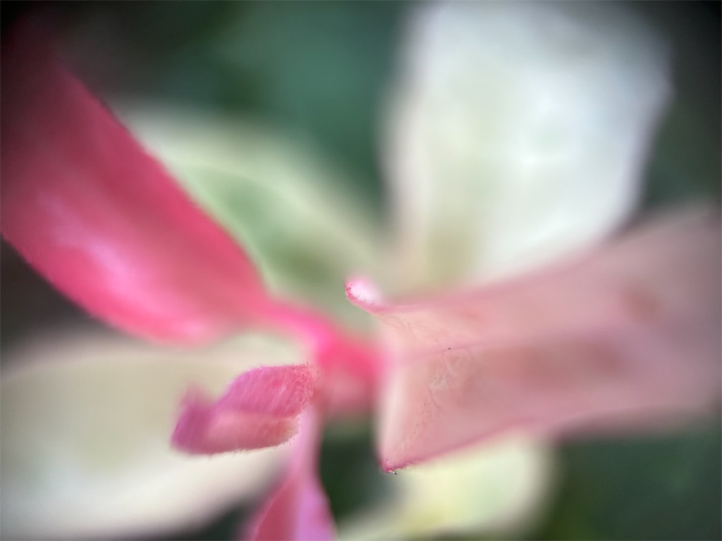 f:id:narutabi:20250923103757j:image