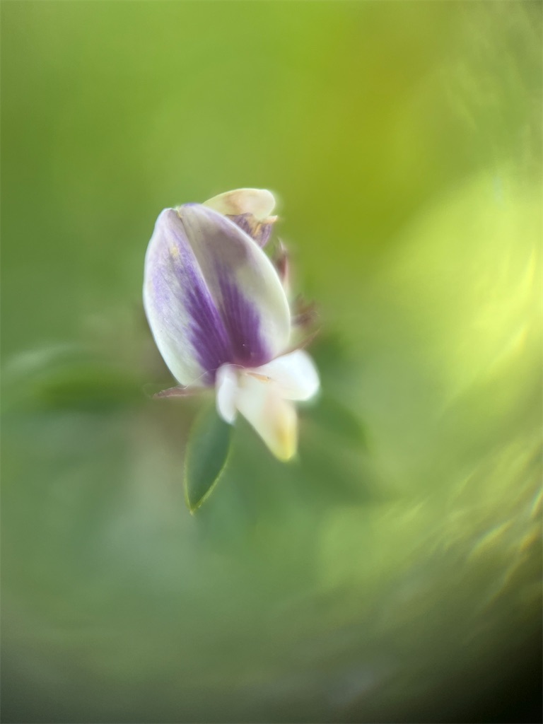 f:id:narutabi:20250923103814j:image