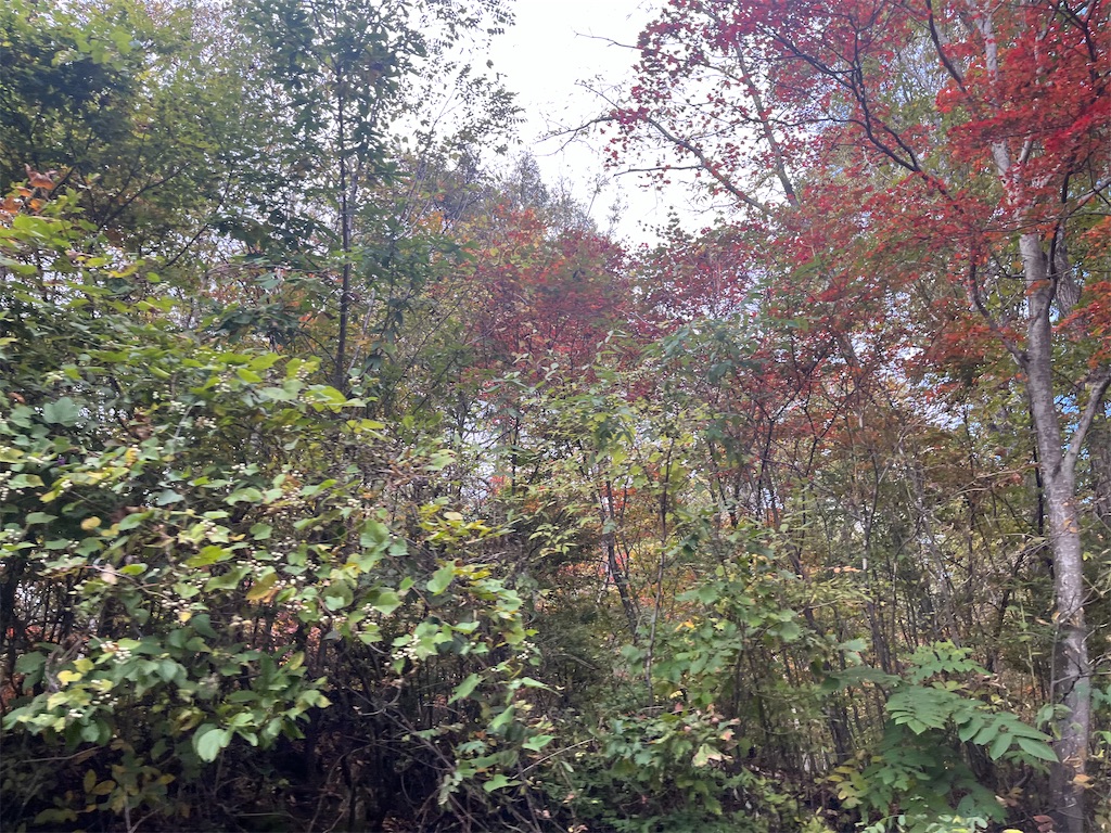 f:id:narutabi:20251027112903j:image f:id:narutabi:20251027112903j:image