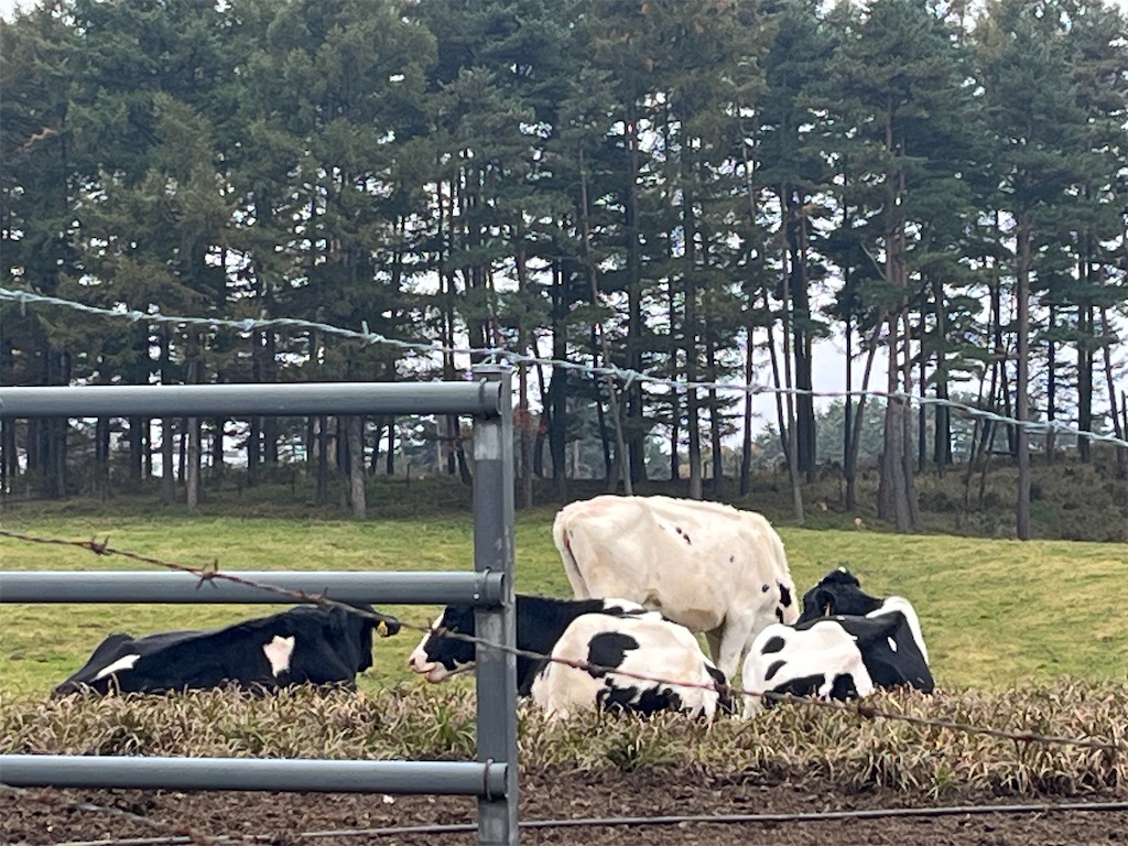 f:id:narutabi:20251028005907j:image f:id:narutabi:20251028005907j:image