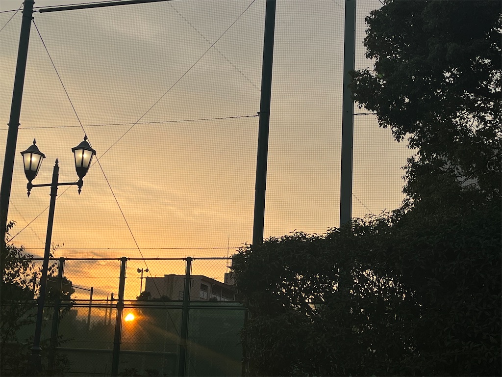 f:id:narutabi:20251110182716j:image