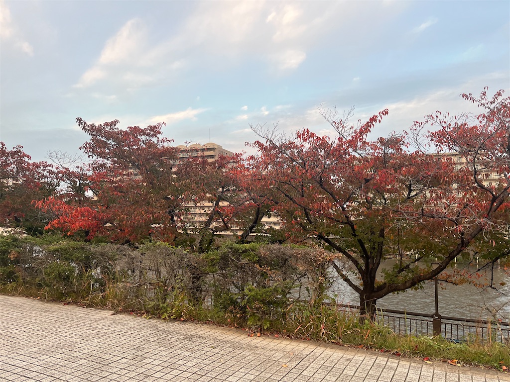 f:id:narutabi:20251110182923j:image