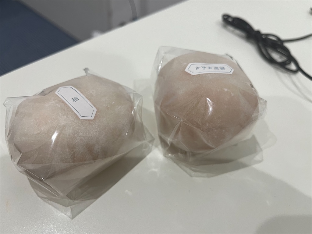 f:id:narutabi:20251117194018j:image