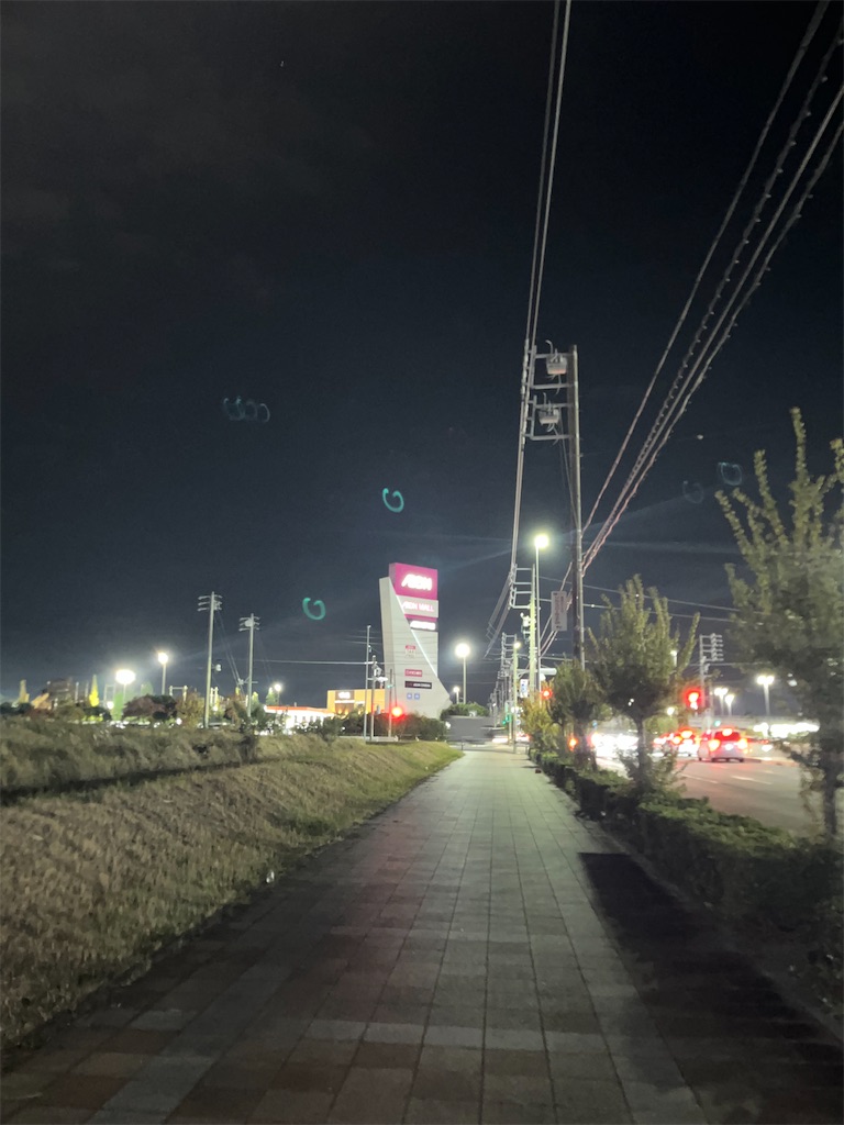 f:id:narutabi:20251117194020j:image