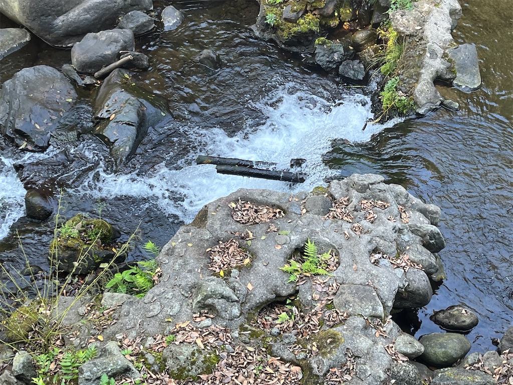 f:id:narutabi:20251125163542j:image f:id:narutabi:20251125163542j:image