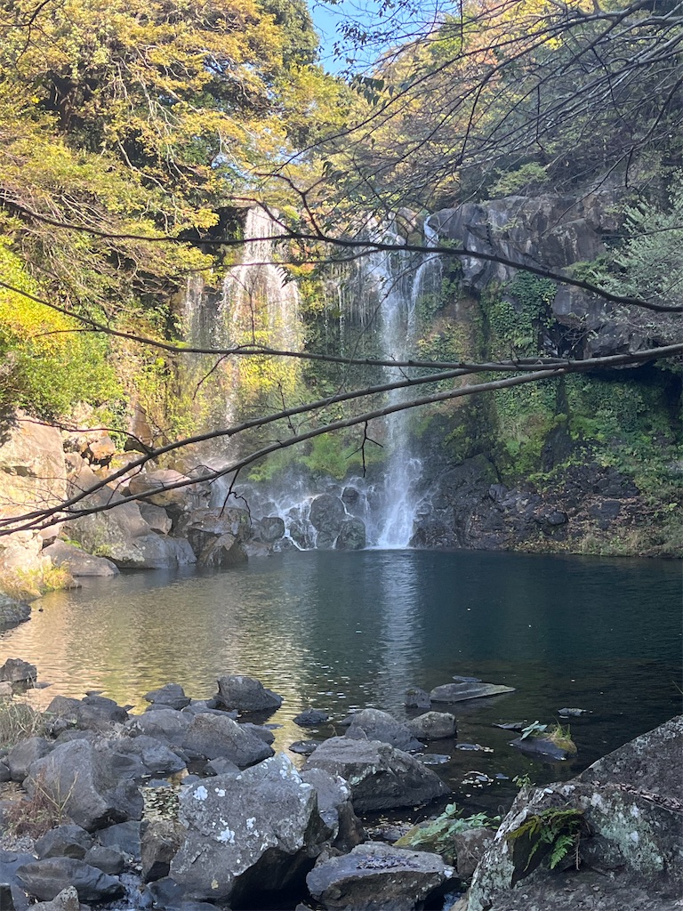 f:id:narutabi:20251125163606j:image f:id:narutabi:20251125163606j:image