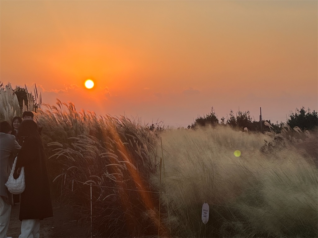 f:id:narutabi:20251125233315j:image