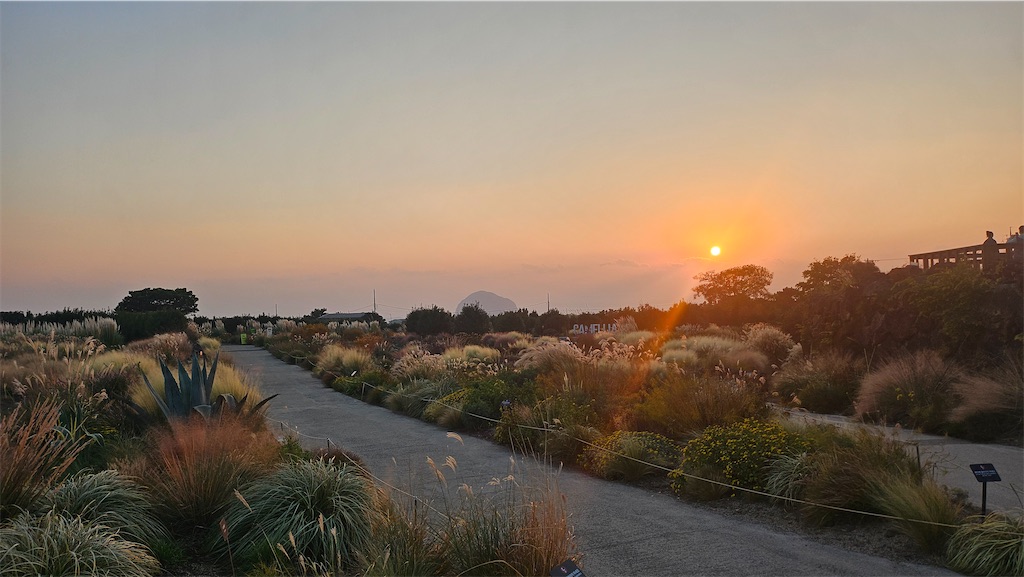 f:id:narutabi:20251125233329j:image