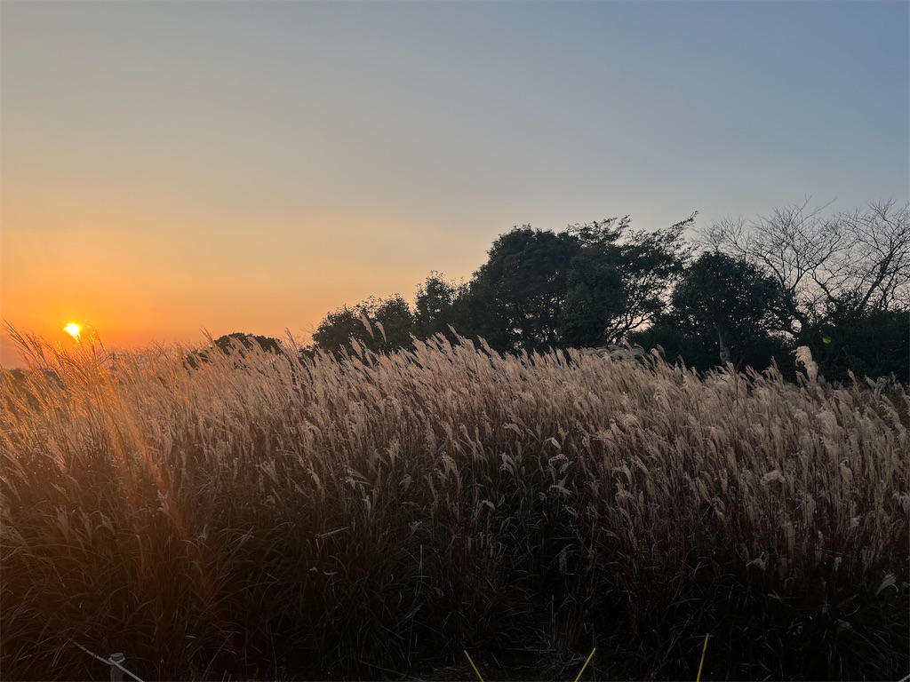 f:id:narutabi:20251125233339j:image