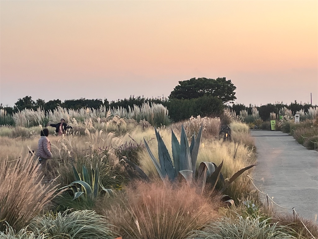 f:id:narutabi:20251125233341j:image