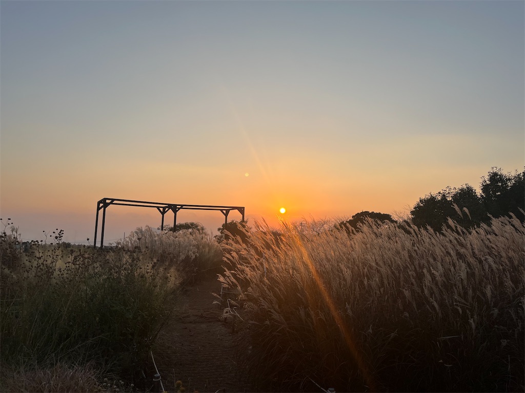 f:id:narutabi:20251125233611j:image