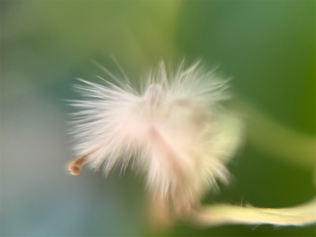 f:id:narutabi:20251125233708j:image