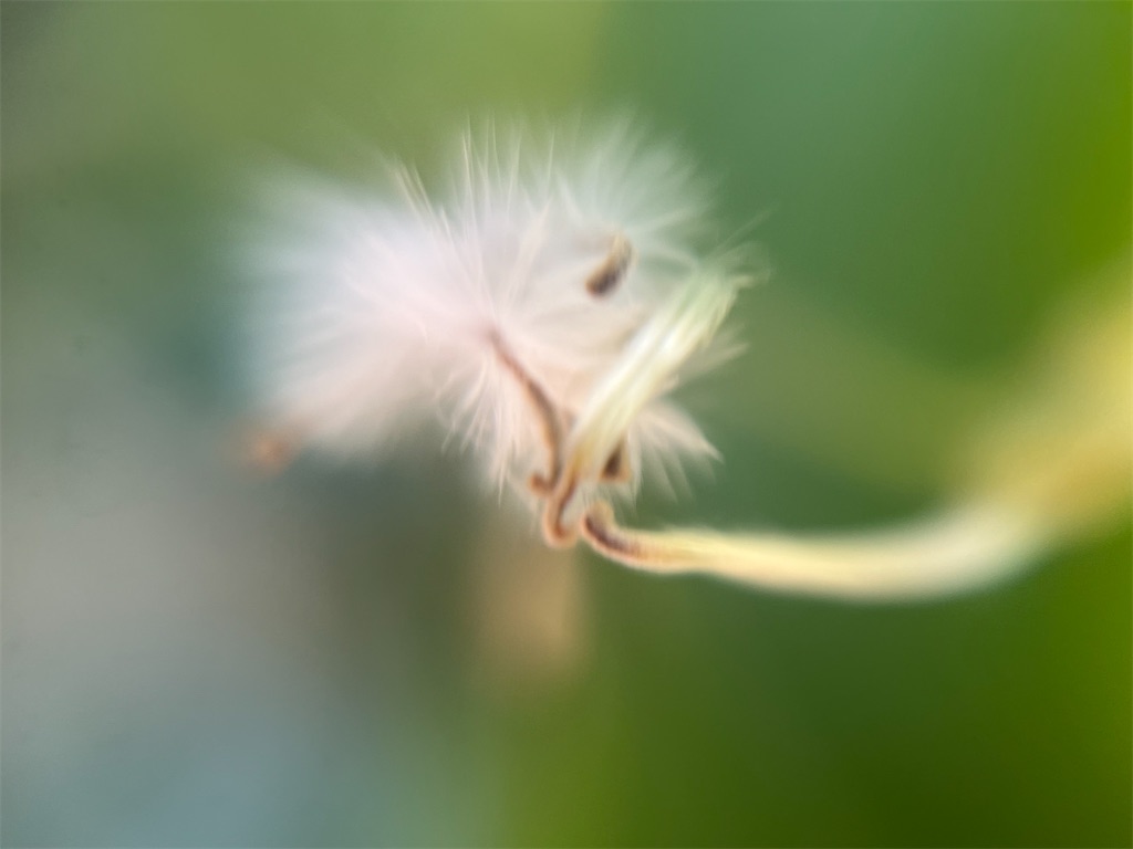 f:id:narutabi:20251125233713j:image