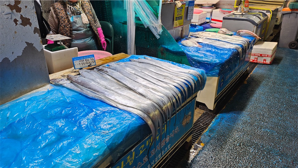 f:id:narutabi:20251125233944j:image