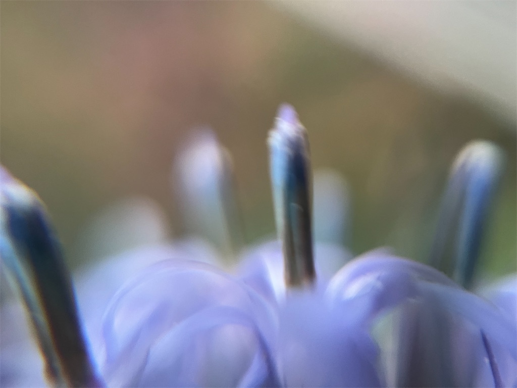 f:id:narutabi:20251126223215j:image