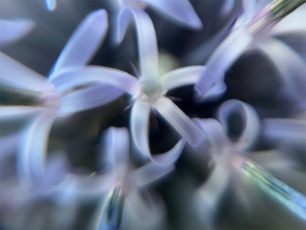 f:id:narutabi:20251126223221j:image