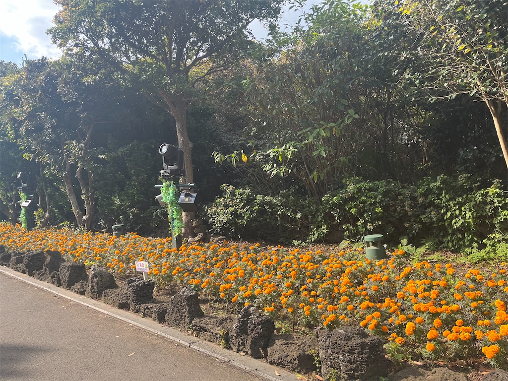 f:id:narutabi:20251128003007j:image