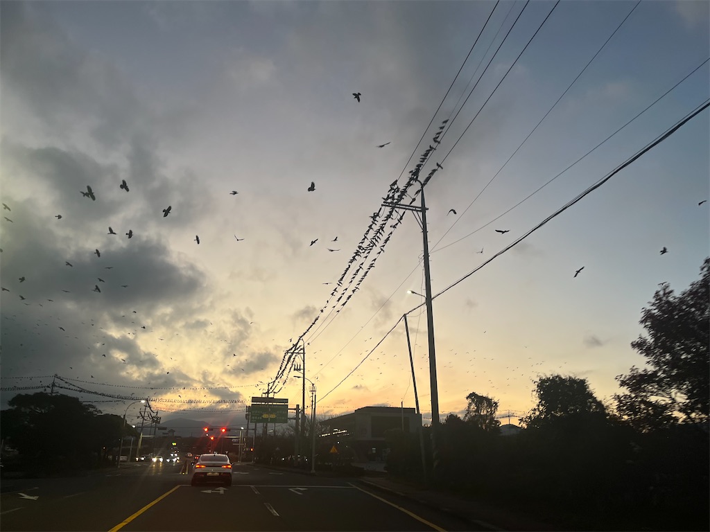 f:id:narutabi:20251129222118j:image