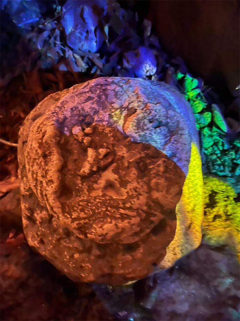 f:id:narutabi:20251130214510j:image