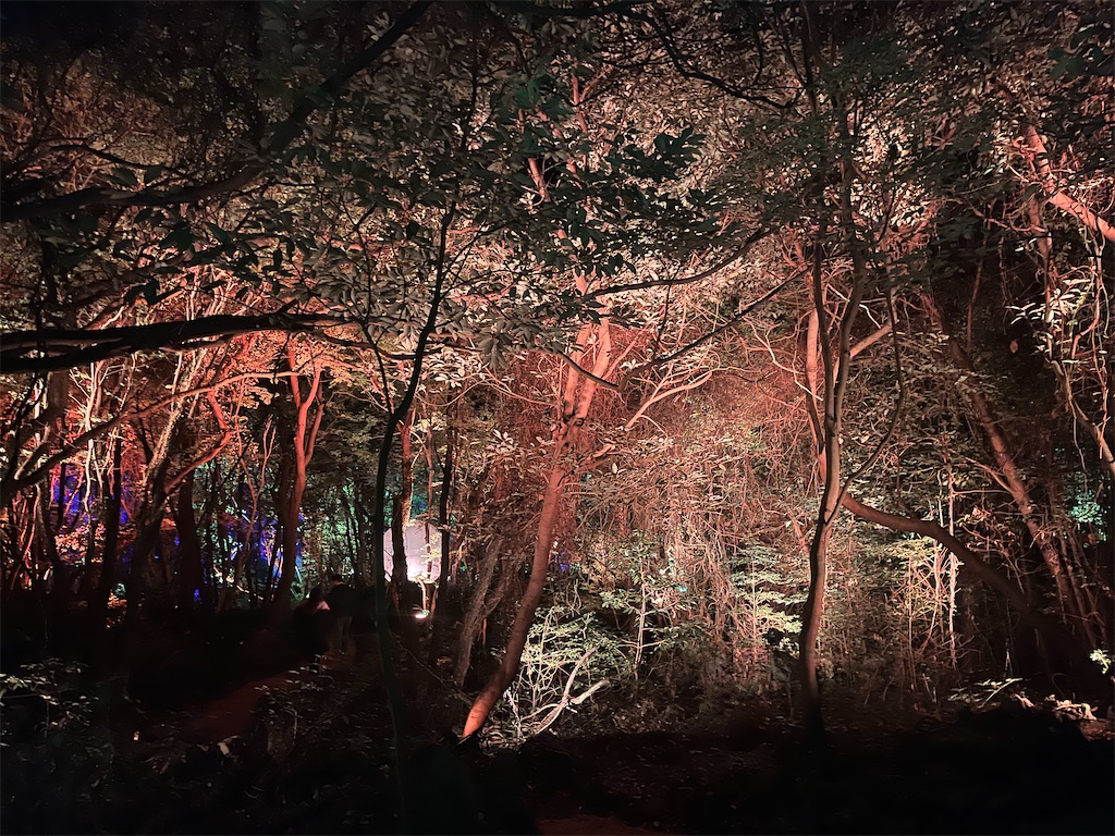 f:id:narutabi:20251130214518j:image