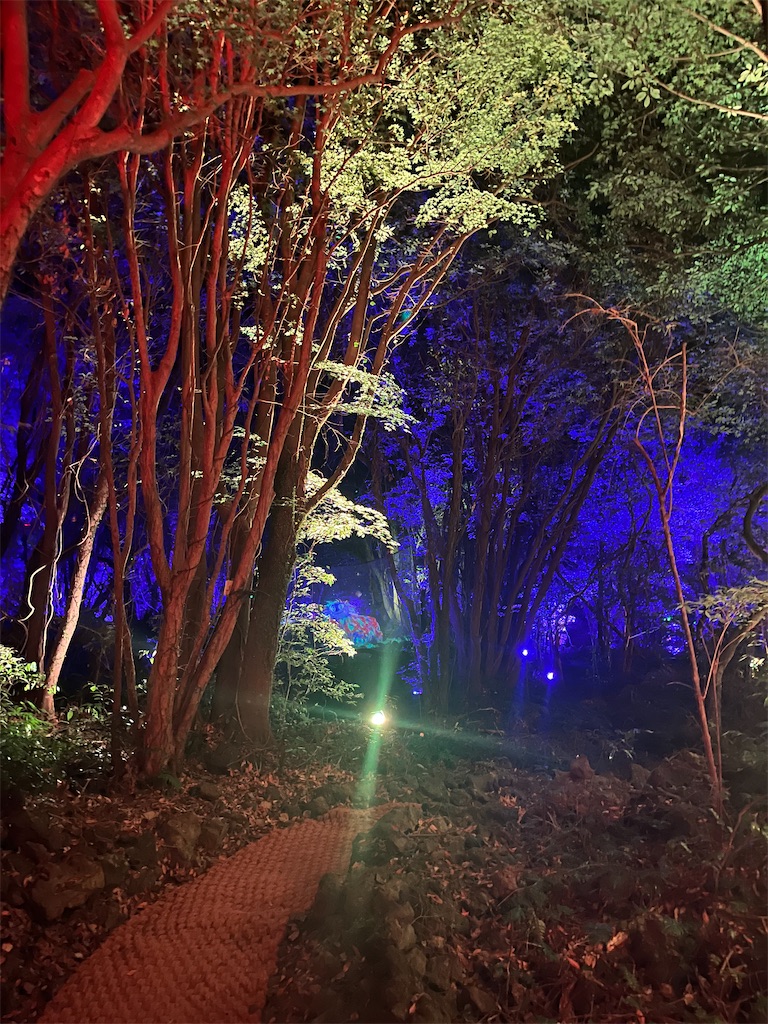 f:id:narutabi:20251130214524j:image